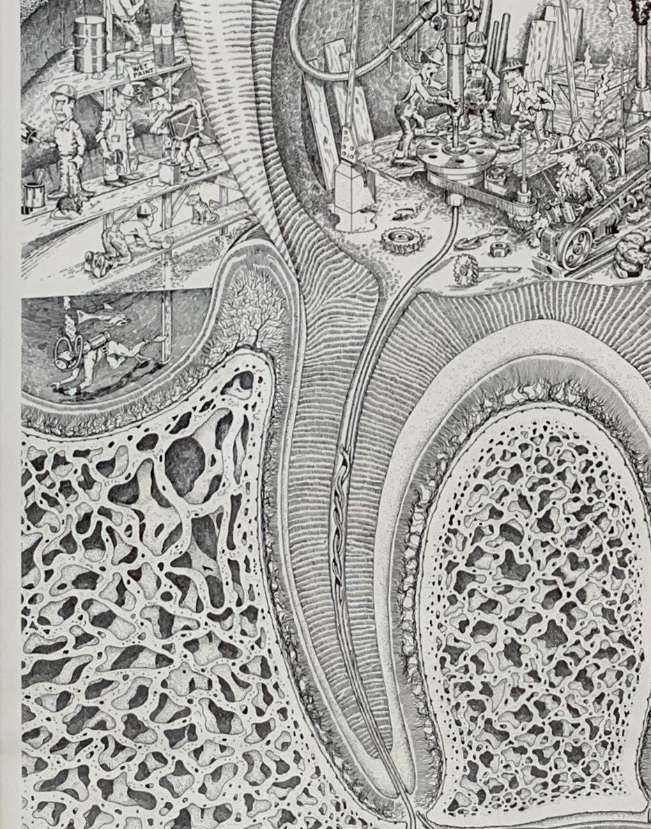 Dental Construction