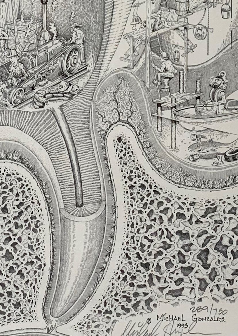 Dental Construction