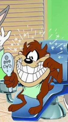 Taz Teeth Whitening