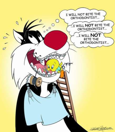 I Will Not Bite/ Will Not Swallow the Orthodontist AP 8/20