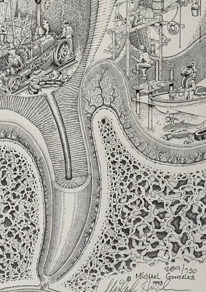 Dental Construction